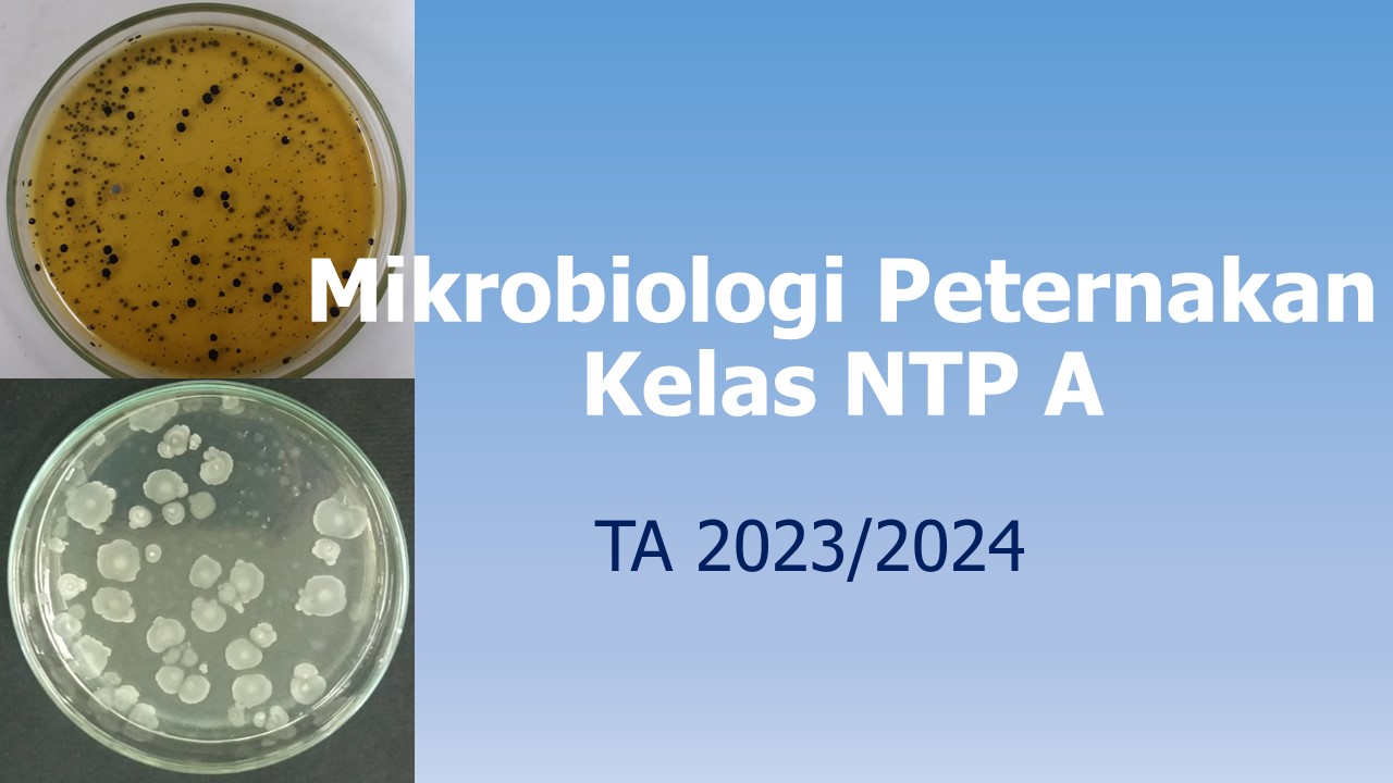 Mikrobiologi Peternakan Kelas NTP A 2023/2024