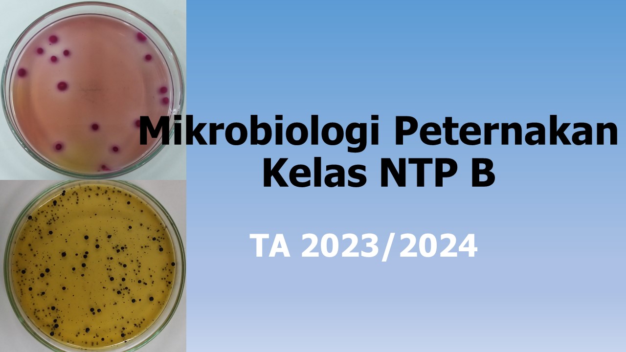 Mikrobiologi Peternakan Kelas NTP B 2023/2024