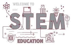 PENDIDIKAN STEM