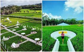 AGT_Rekreasi dan Agroekowisata