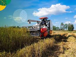 MK PTP Kls B 2024/2025