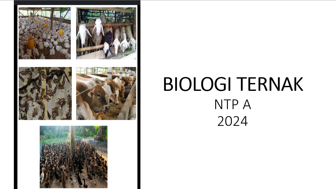 BIOLOGI TERNAK NTP A 2024/2025