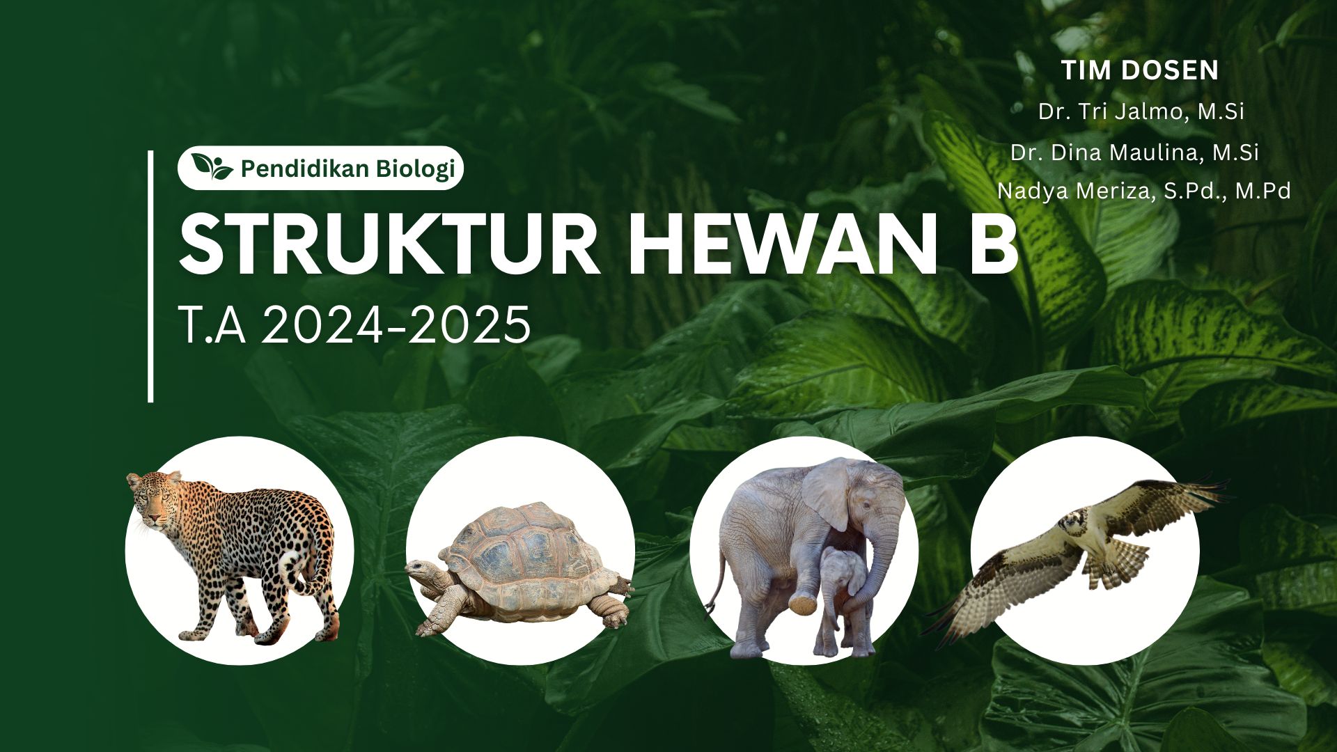 PSPB_Struktur Hewan B_Ganjil 2024-2025