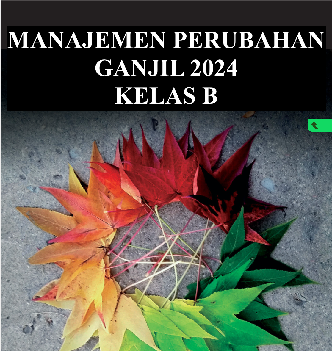 S1_MNJ_MANAJEMEN PERUBAHAN_smt ganjil 2024 2025