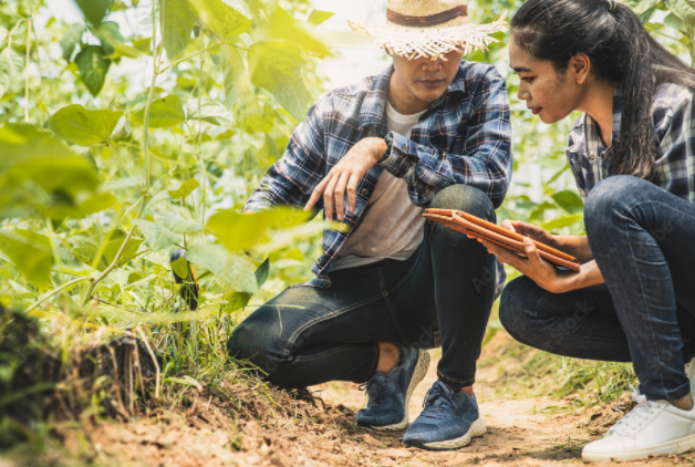 English For Extension PPN A 2024/2025