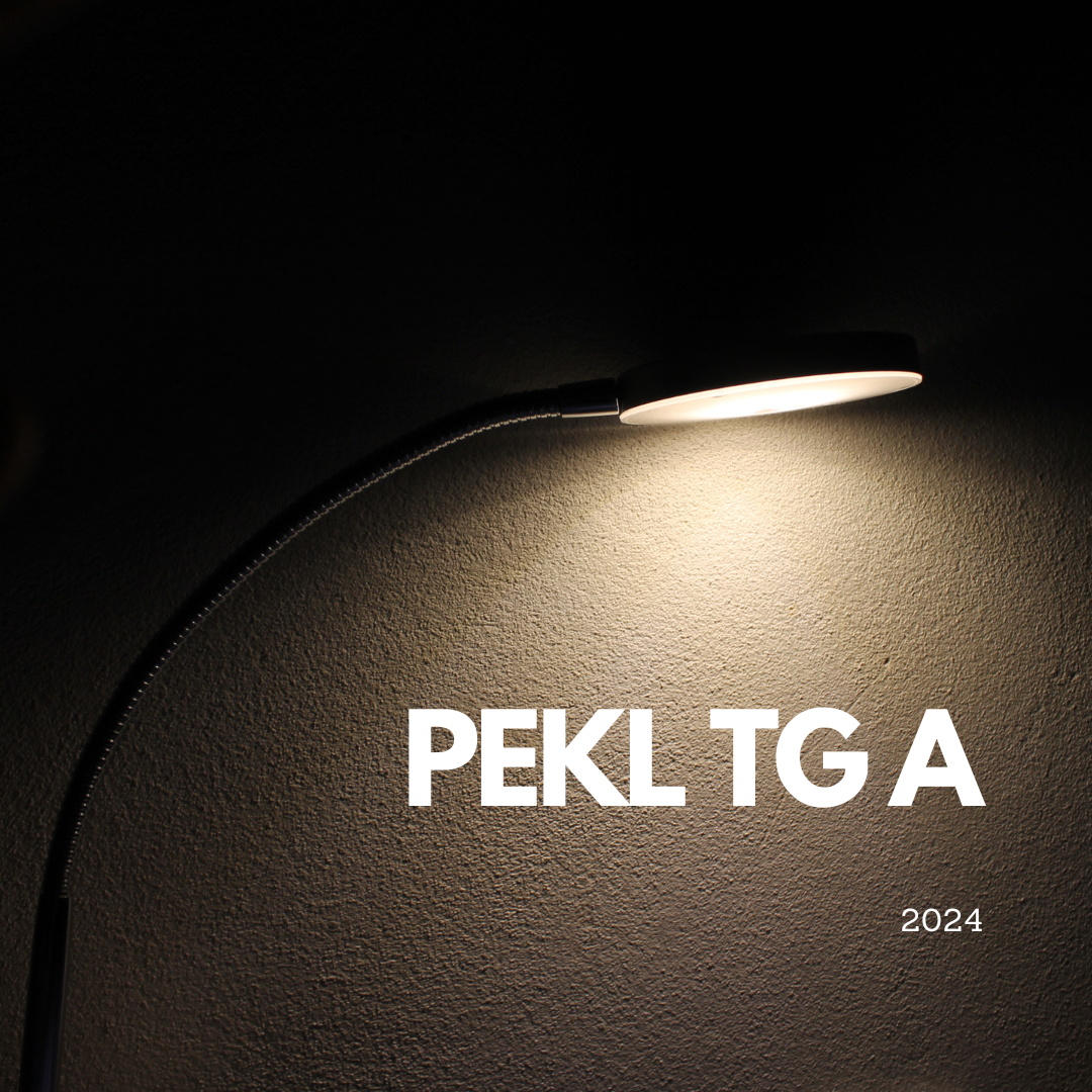 Pendidikan Etika dan Kearifan Lokal TG A (2024)