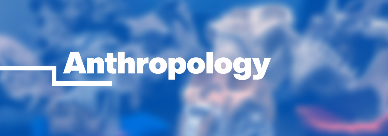 Pengantar Antropologi D