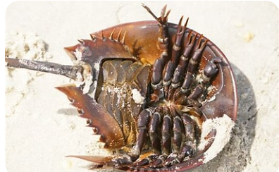 Sains Dasar BIT B 2024