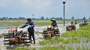 Hukum dan Perubahan Sosial 2024