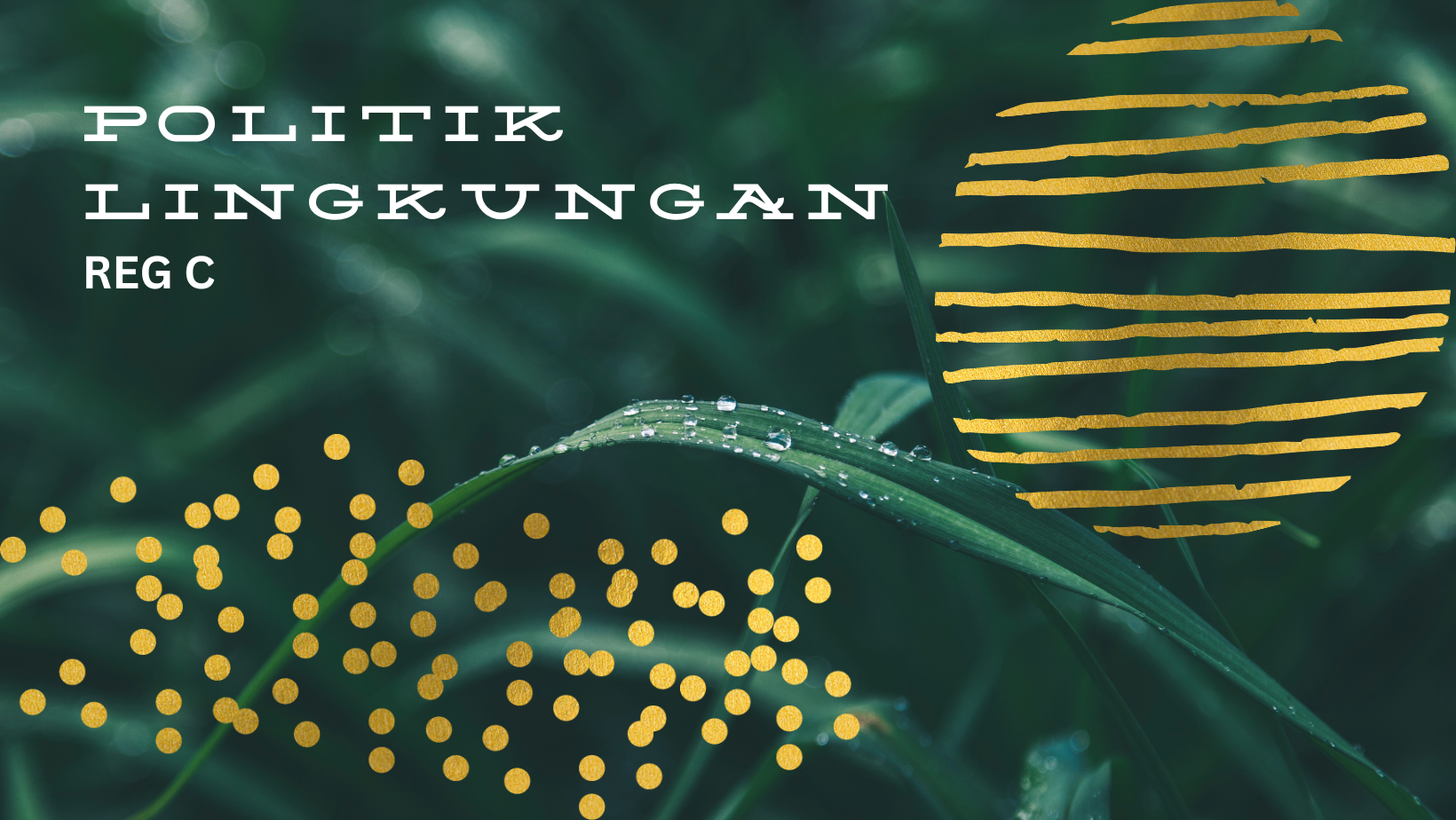 Politik Lingkungan (Kelas C) - Genap 2024/2025