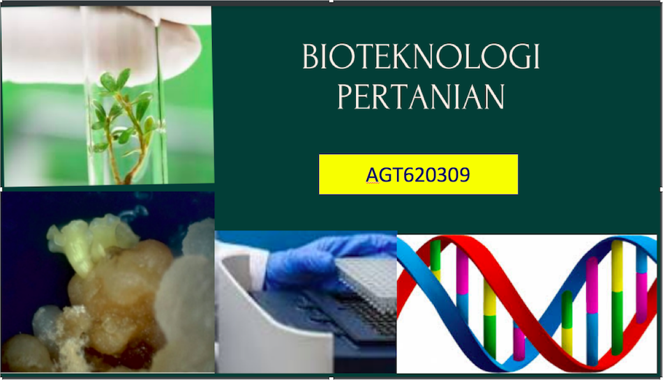 BIOTEKNOLOGI PERTANIAN 2025