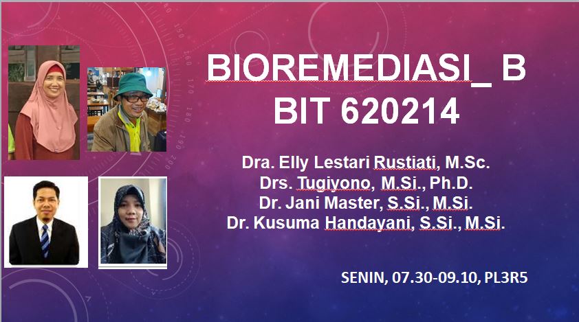 Bioremediasi BIT B 2024/2025