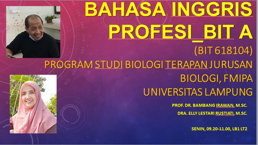 Bahasa Inggris Profesi BIT A 2024/2025