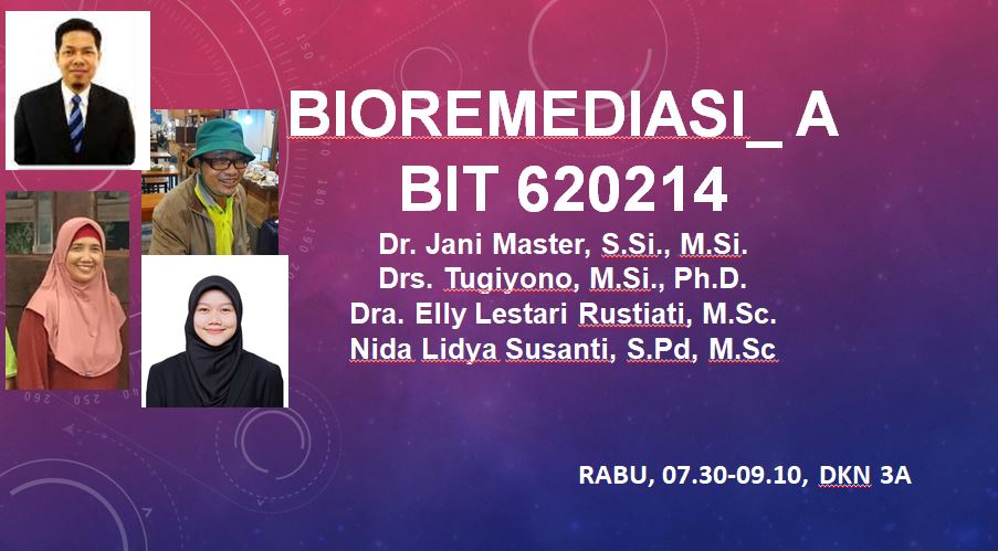 Bioremediasi BIT A 2024/2025