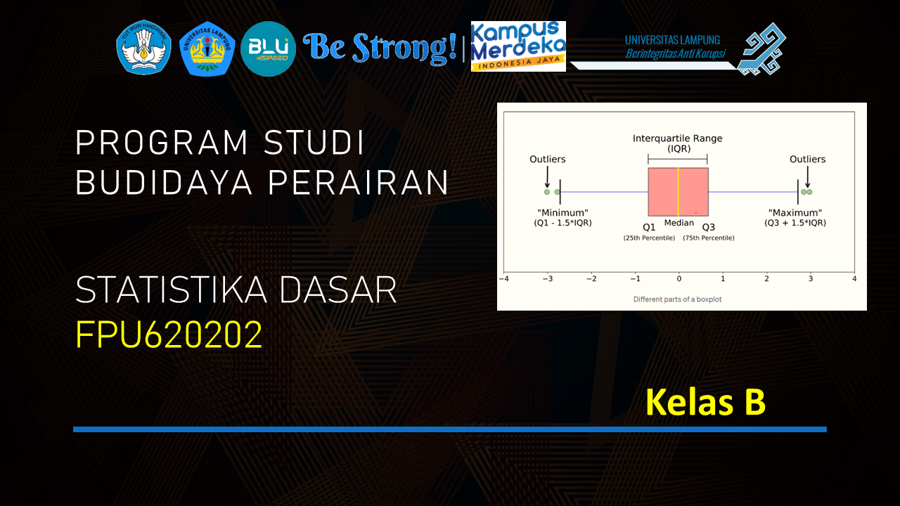 PSBDI STATISTIKA DASAR KELAS B SEMESTER GENAP 2024/2025