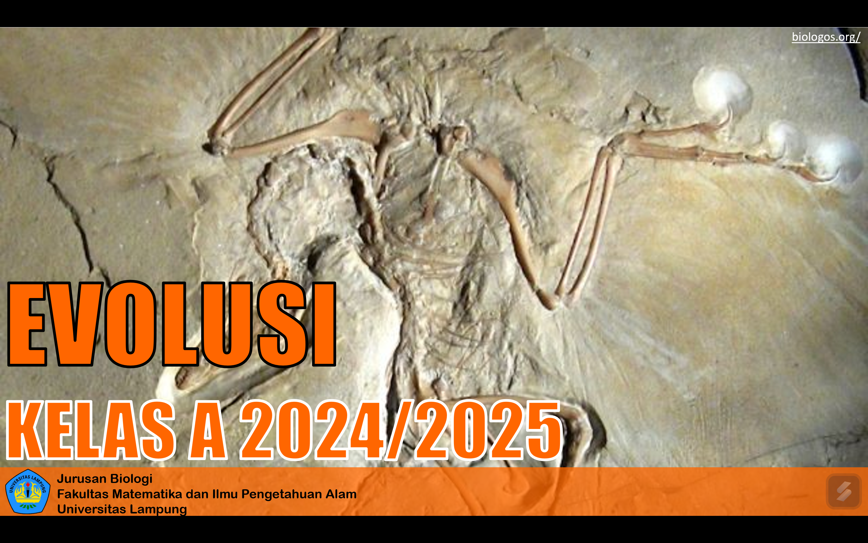 BIO620224 - Evolusi Kelas A