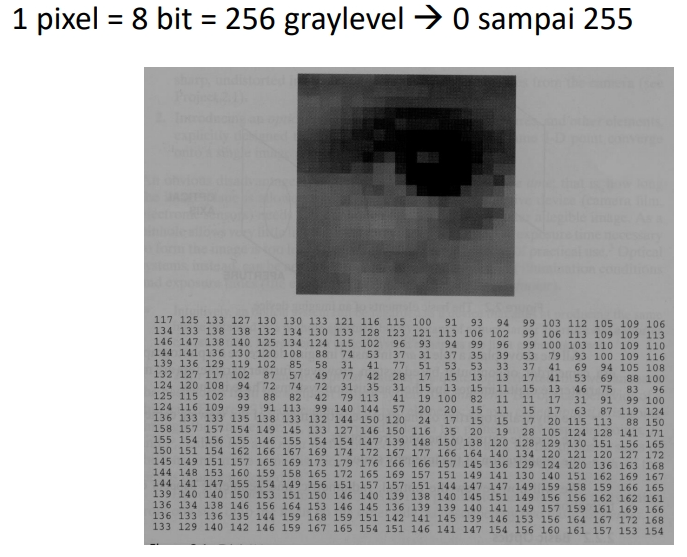 Pengolahan Citra Digital 2024-2025 (Genap)