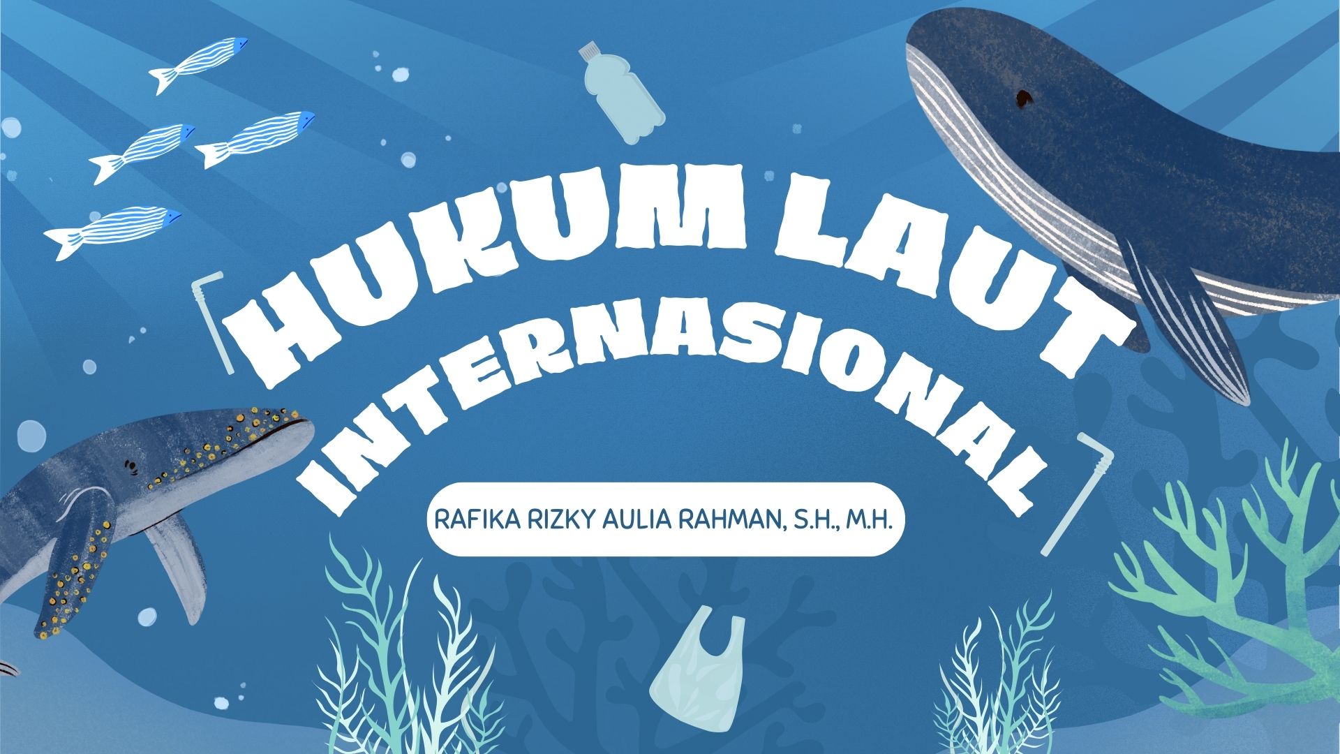 Hukum Laut Internasional D.24a