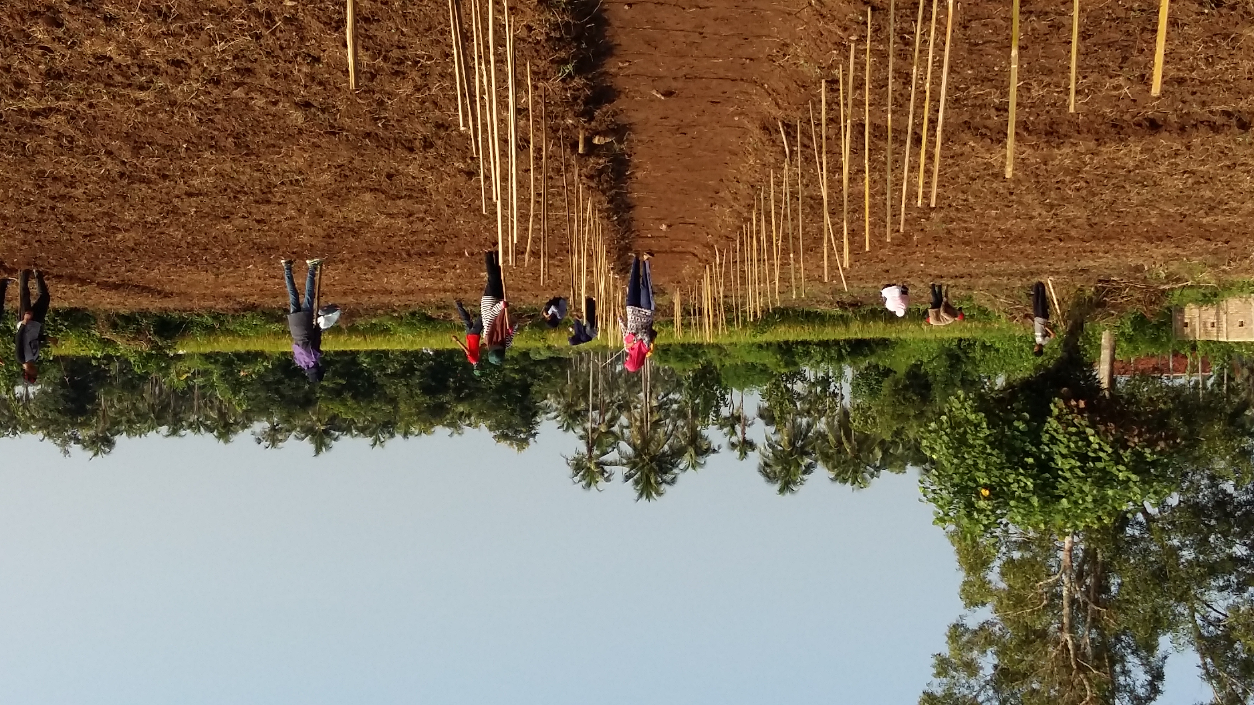 KLIMPERT PPN-B-GNP2024-2025