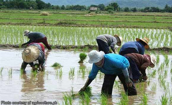 Pengantar Ilmu Pertanian Genap AGB B 2024/2025 