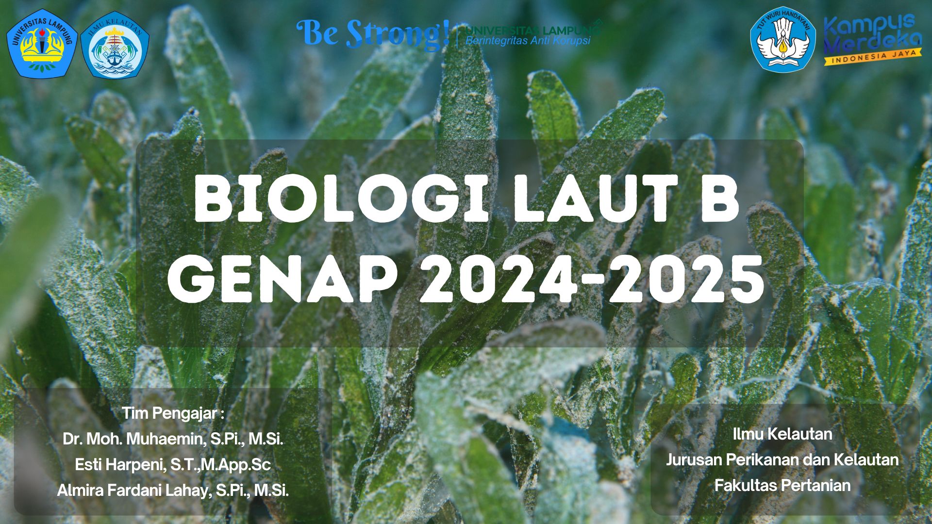 IKL B_Biologi Laut