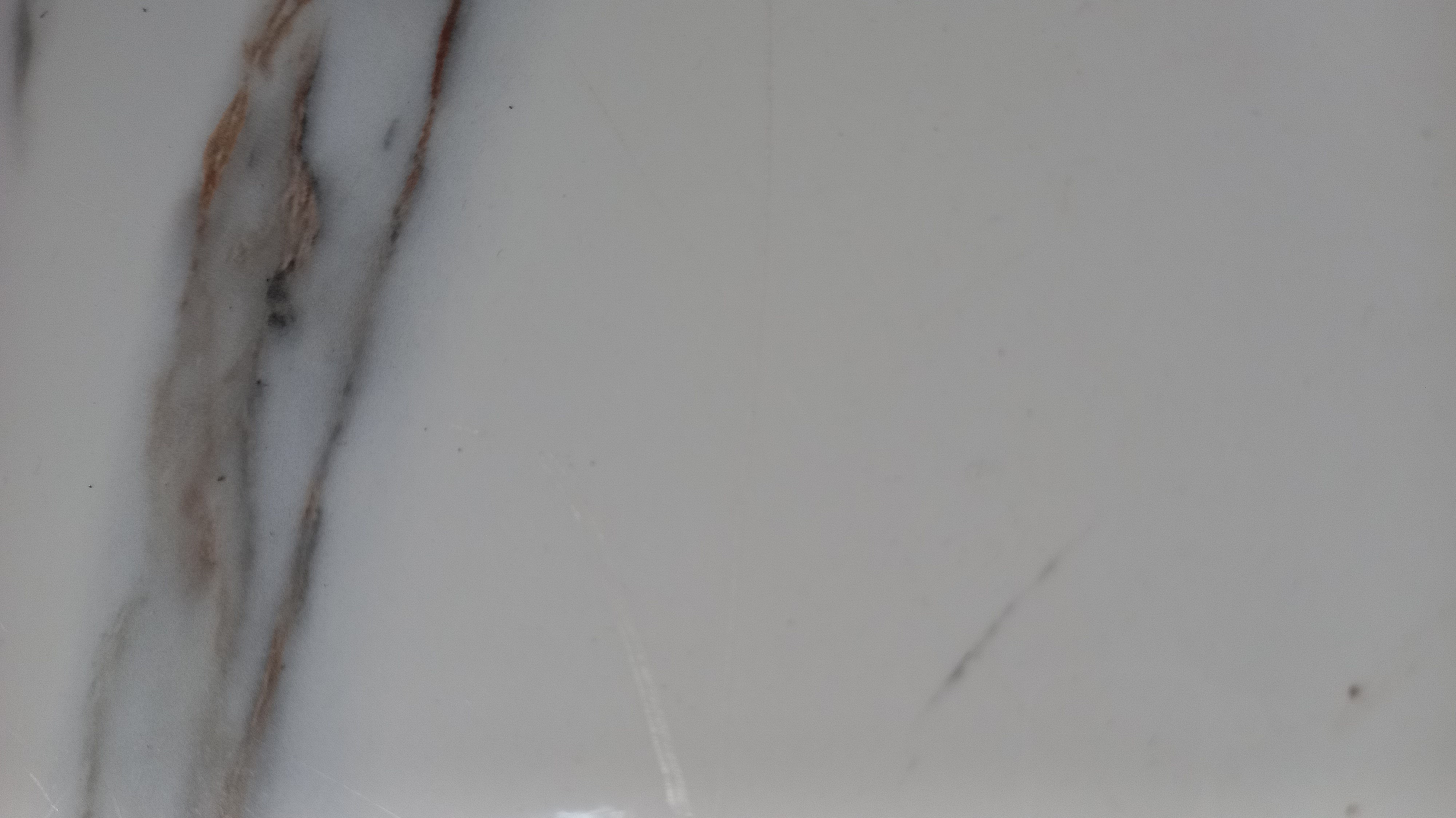 Ekofisiologi Tumbuhan