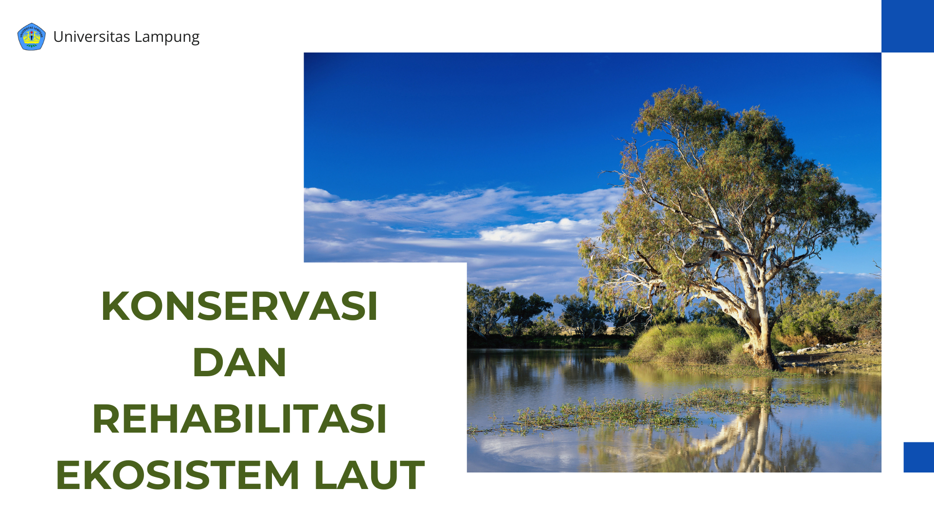 Konservasi dan Rehabilitasi Ekosistem Laut B