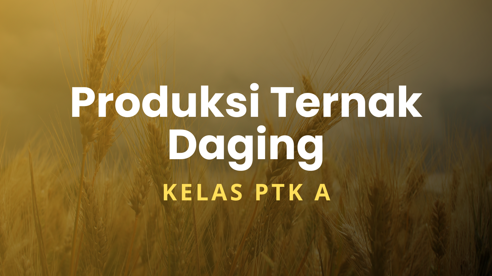 Produksi Ternak Daging PTK A 2025