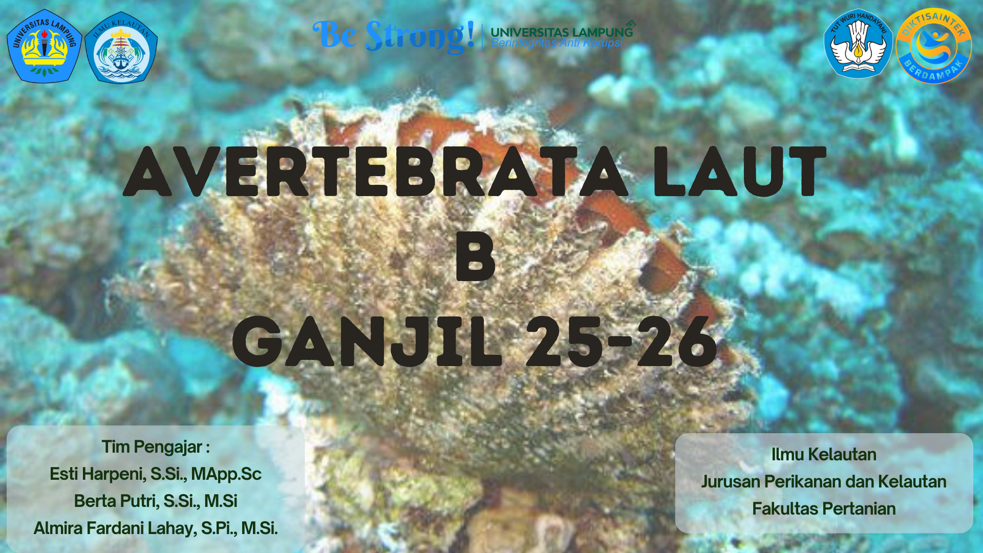 IKL B_Avertebrata Laut