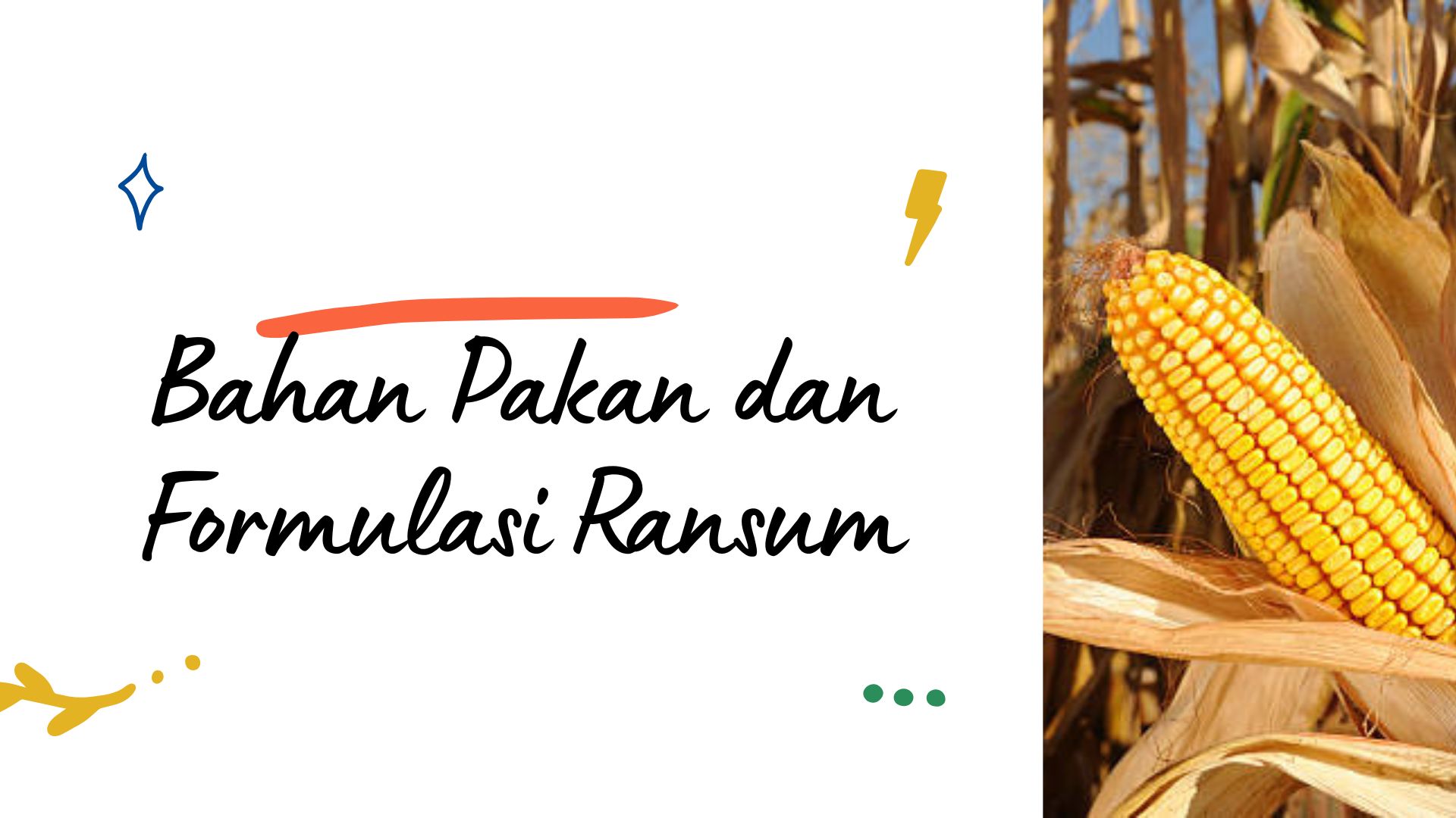 Bahan Pakan &amp; Formulasi Ransum PTK A