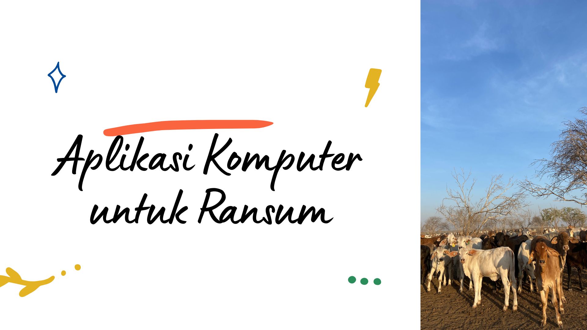 APLIKASI KOMPUTER NUTRISI DAN TEKNOLOGI PAKAN NTP A