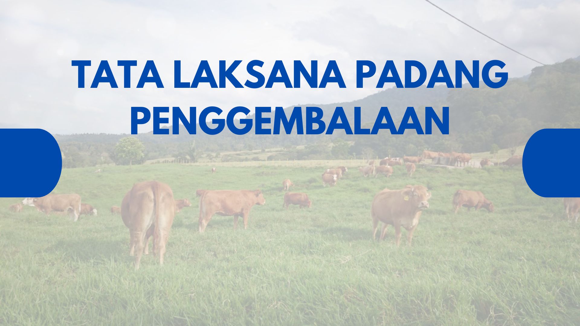 TATALAKSANA PADANG PENGGEMBALAAN NTP