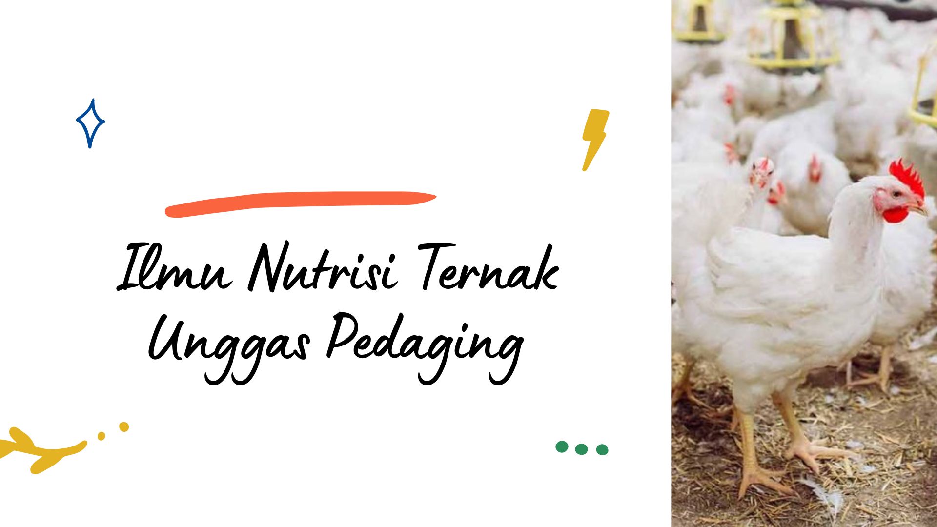 Ilmu Nutrisi Ternak Unggas Pedaging NTP B