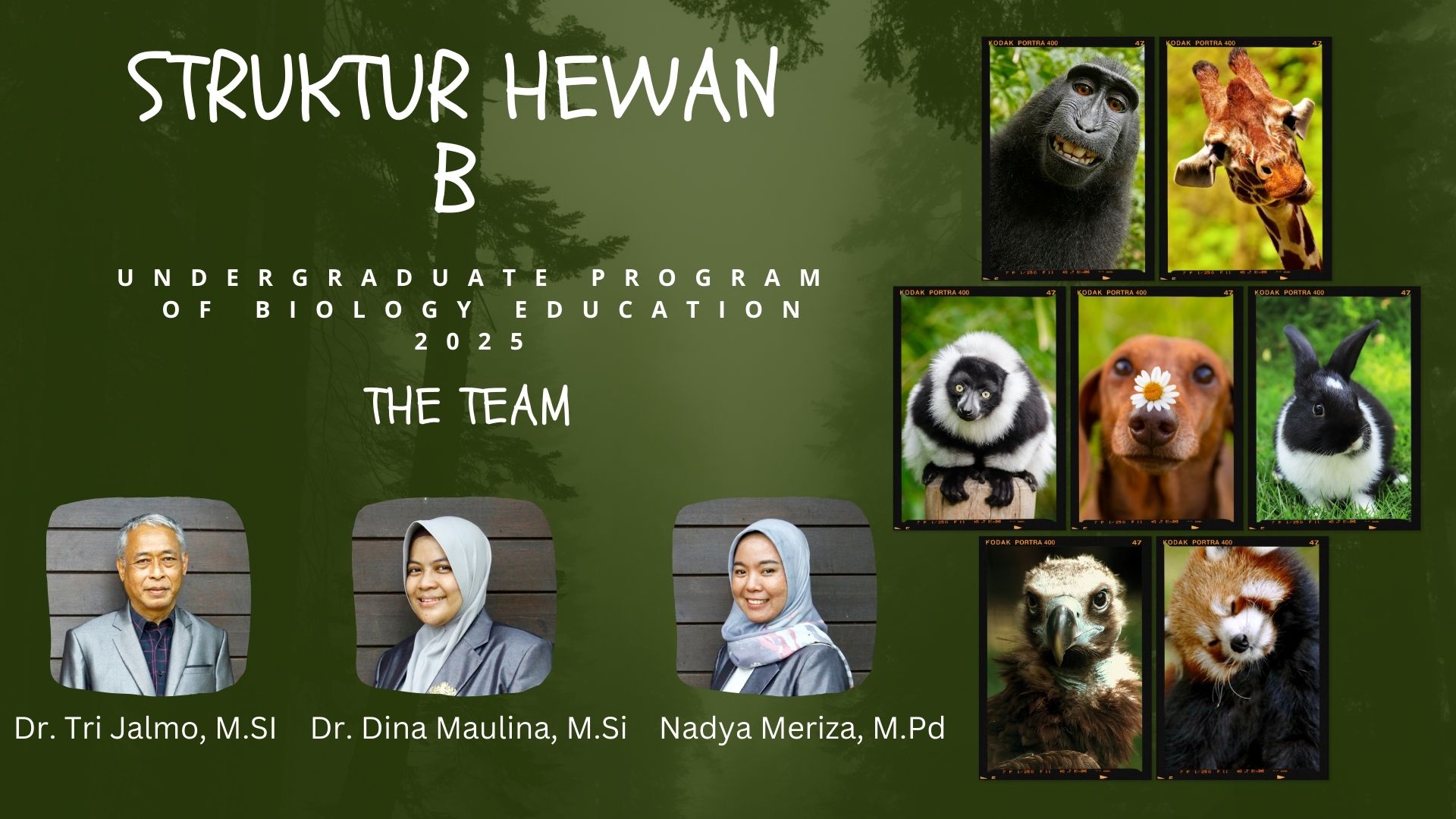 PSPB_Struktur Hewan_B_Ganjil_2025/2026