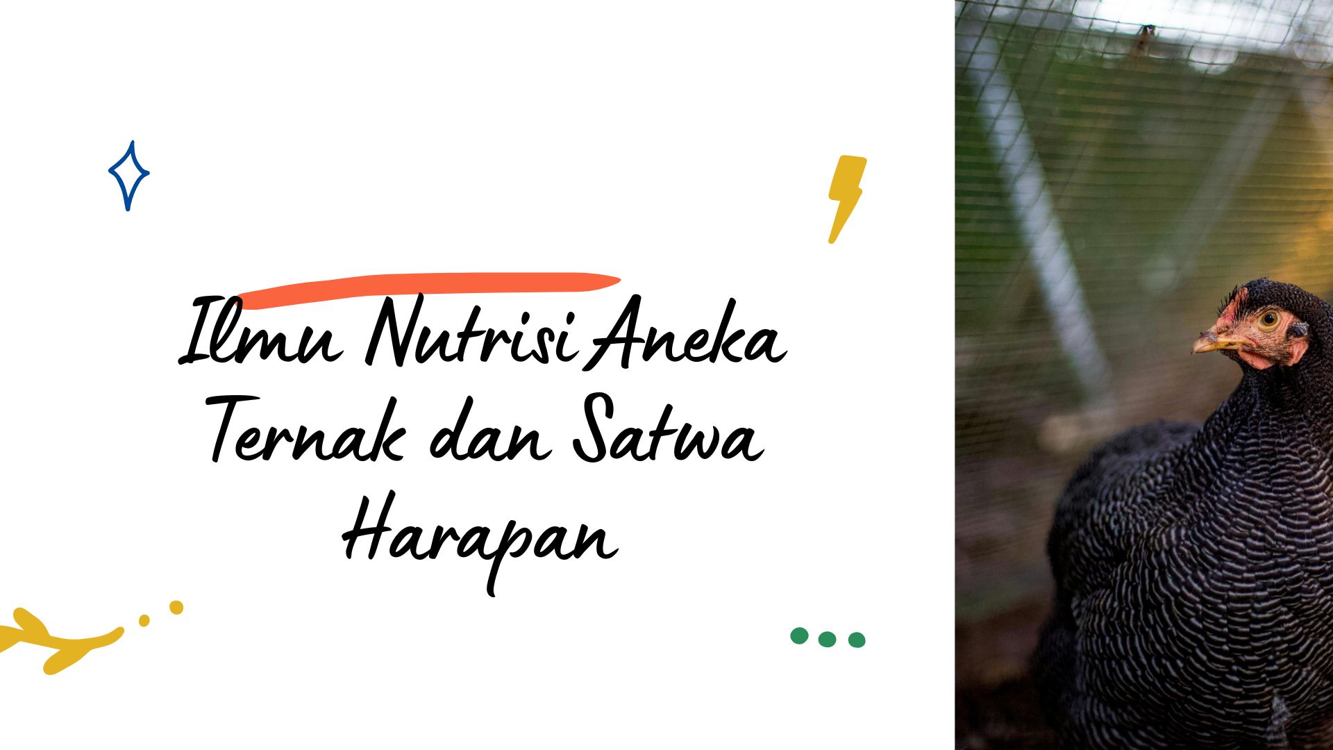 Ilmu Nutrisi Aneka Ternak dan Satwa Harapan