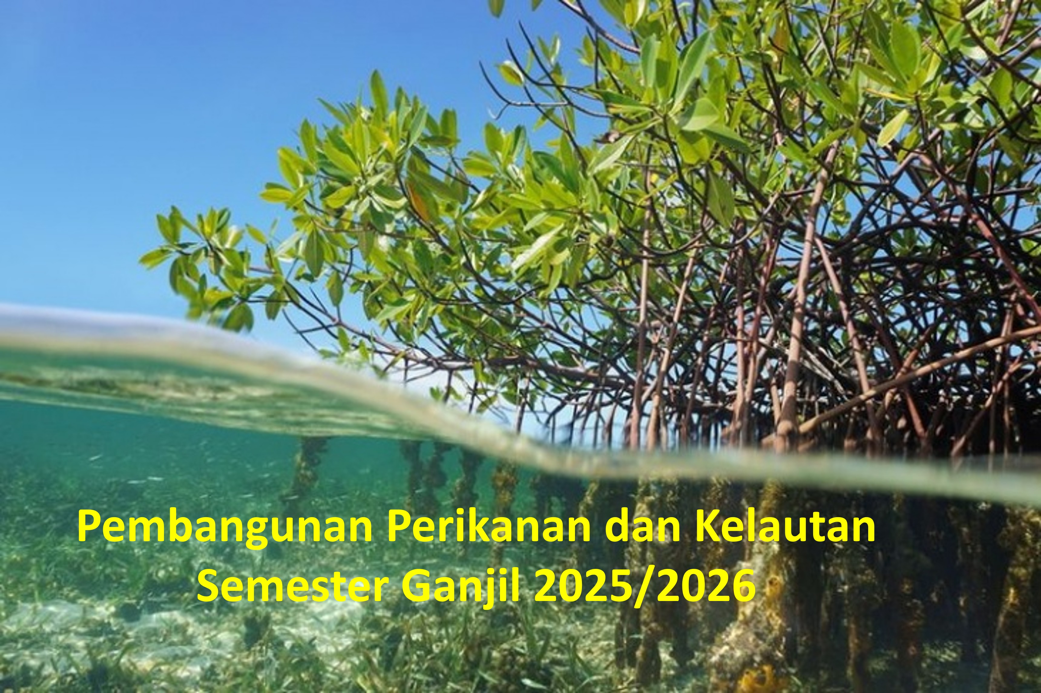 S3 Pembangunan Perikanan dan Kelautan (Ganjil 2025/2026)