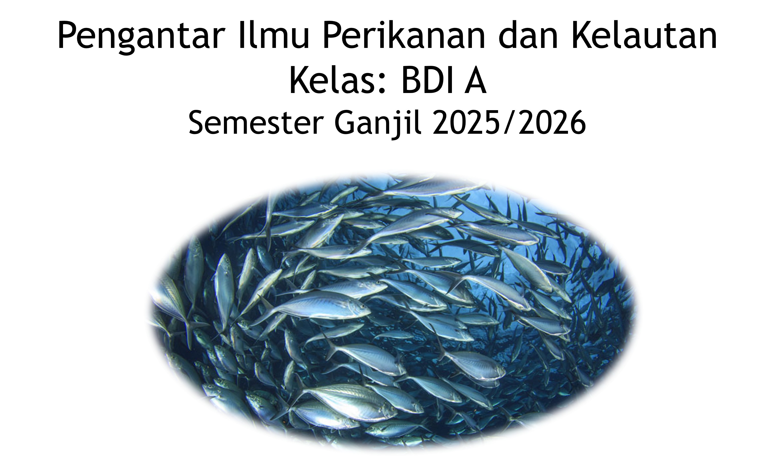 Pengantar Ilmu Perikanan dan Kelautan BDI A (Ganjil 2025/2026)