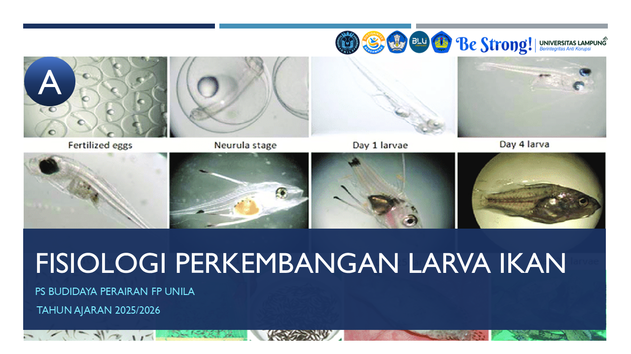 Fisiologi Perkembangan Larva Ikan BDI A Ganjil 2025/2026