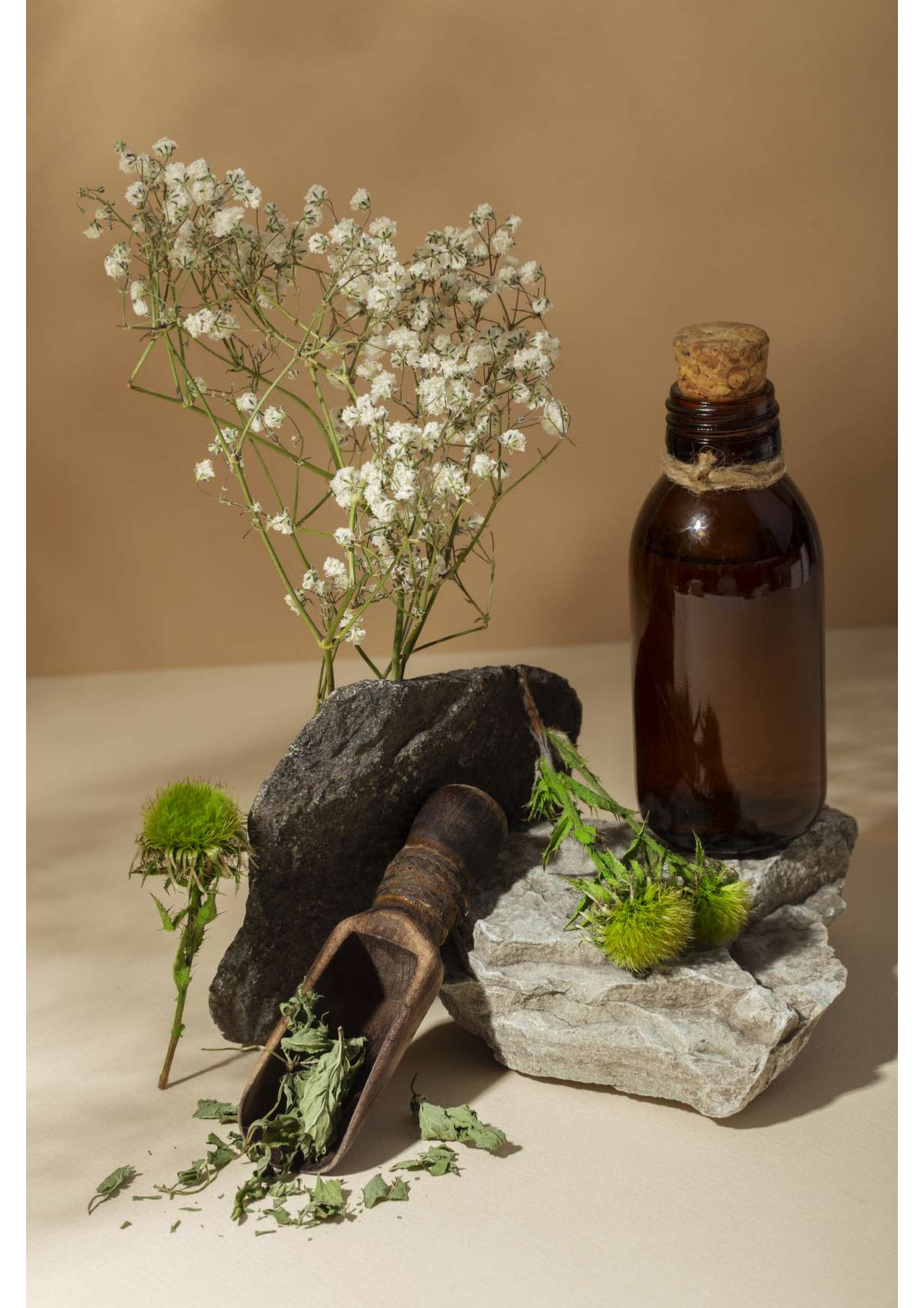 2025_GANJIL_FITOTERAPI KELAS B