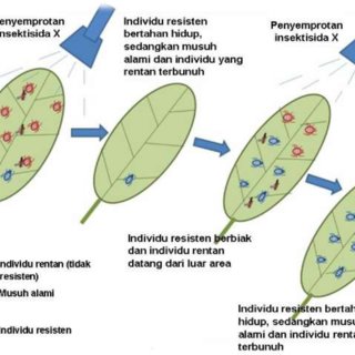 2025_GANJIL FITOHORMON KELAS B