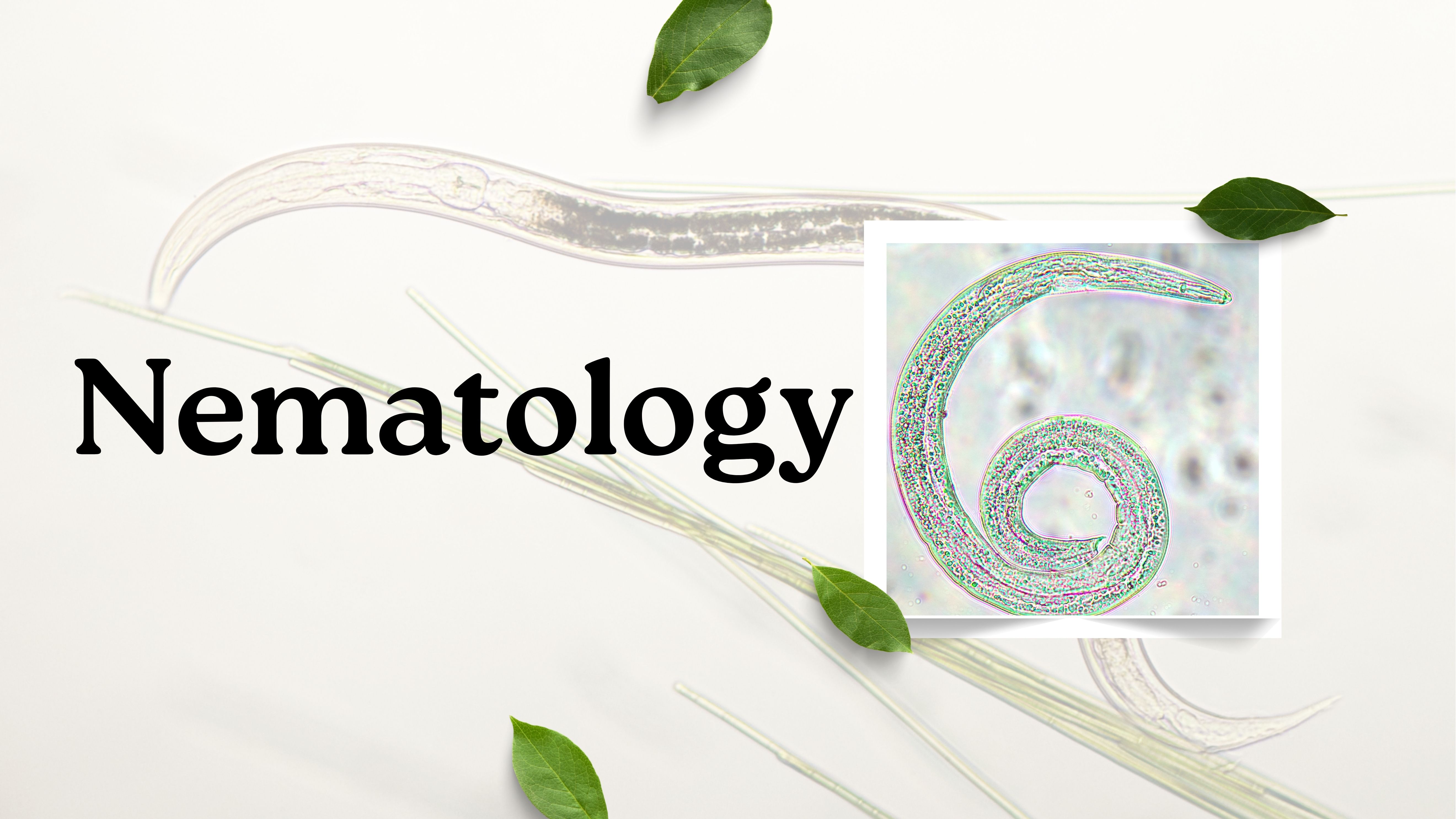 Nematologi Tumbuhan_PTNB_2025