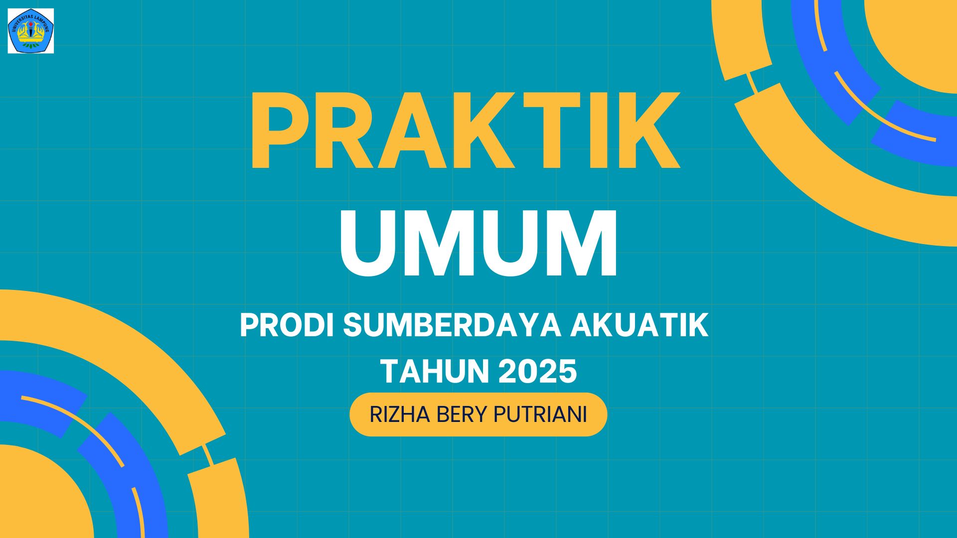 Praktik umum