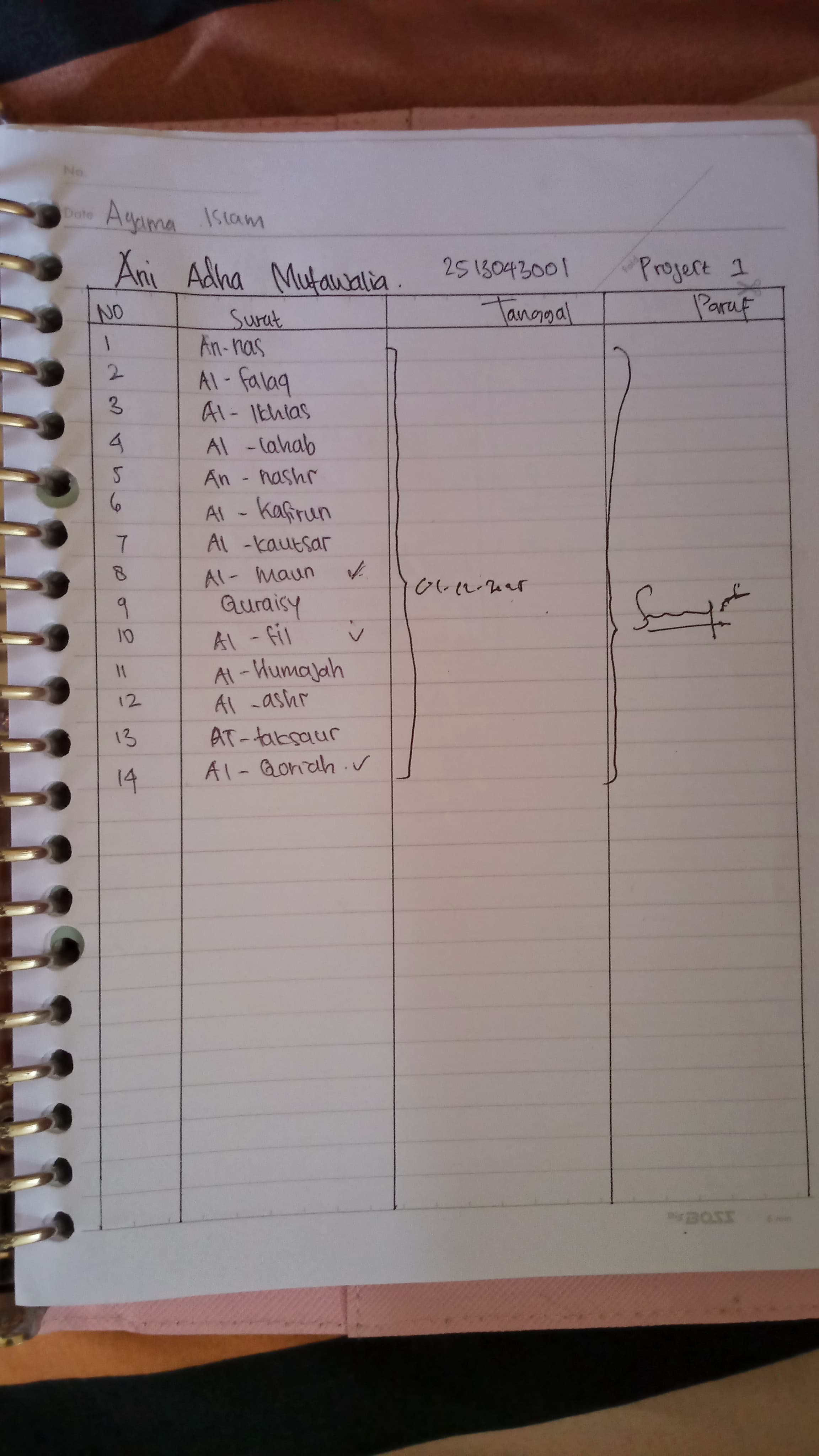 Attachment IMG-20251224-WA0135.jpg