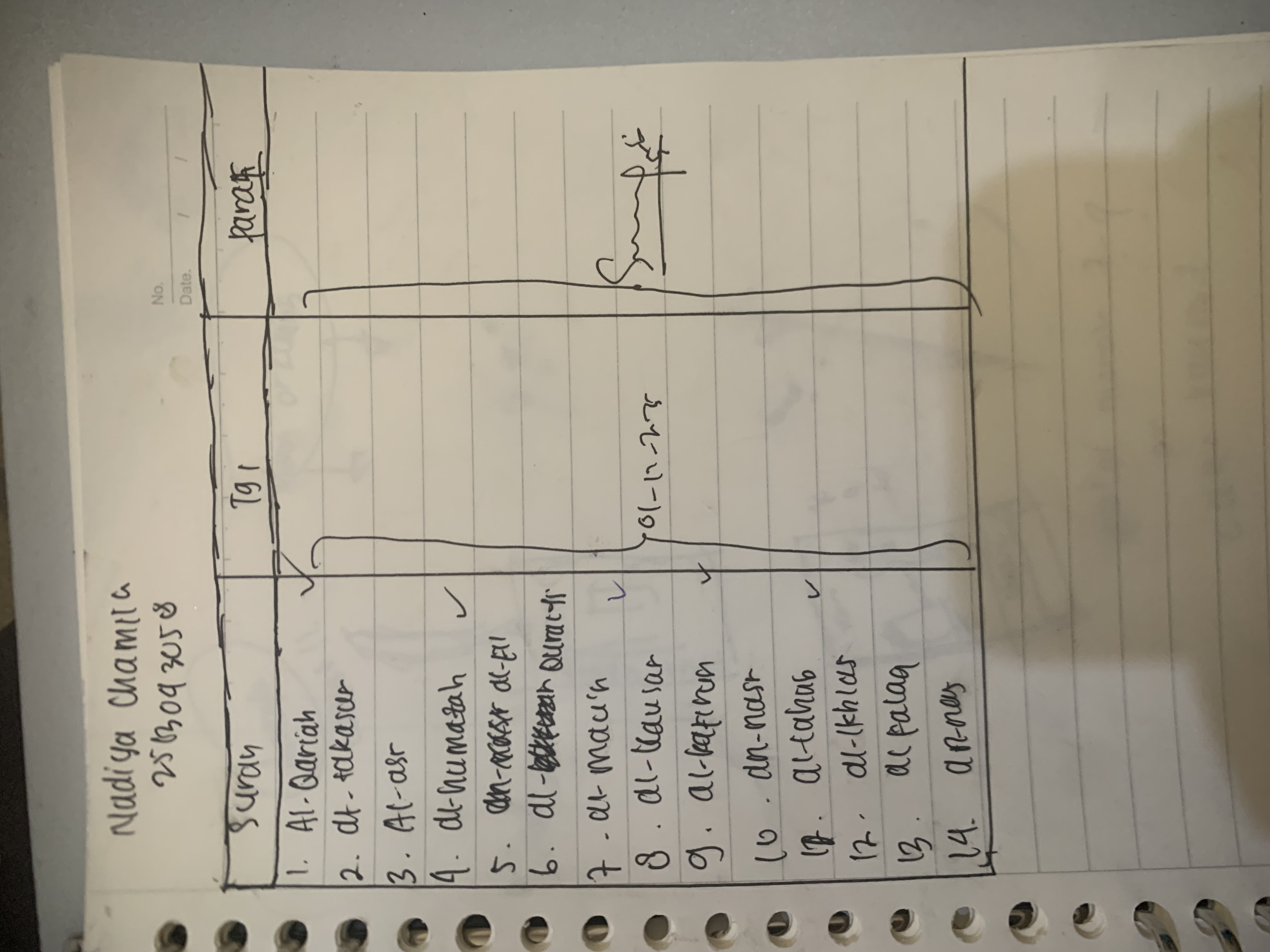 Attachment IMG_9261.jpeg