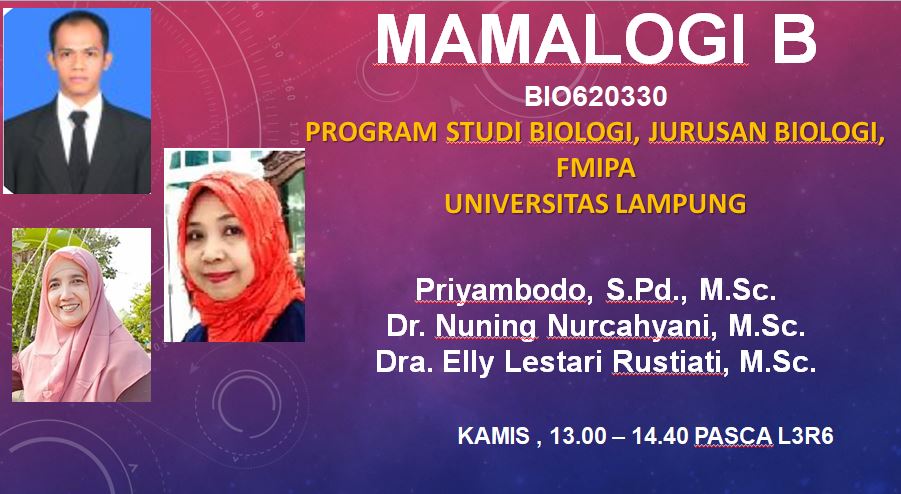 Mamalogi BIO B 2026