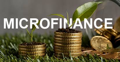 Manajemen Keuangan Usaha Kecil (Microfinance) kelas Internasional