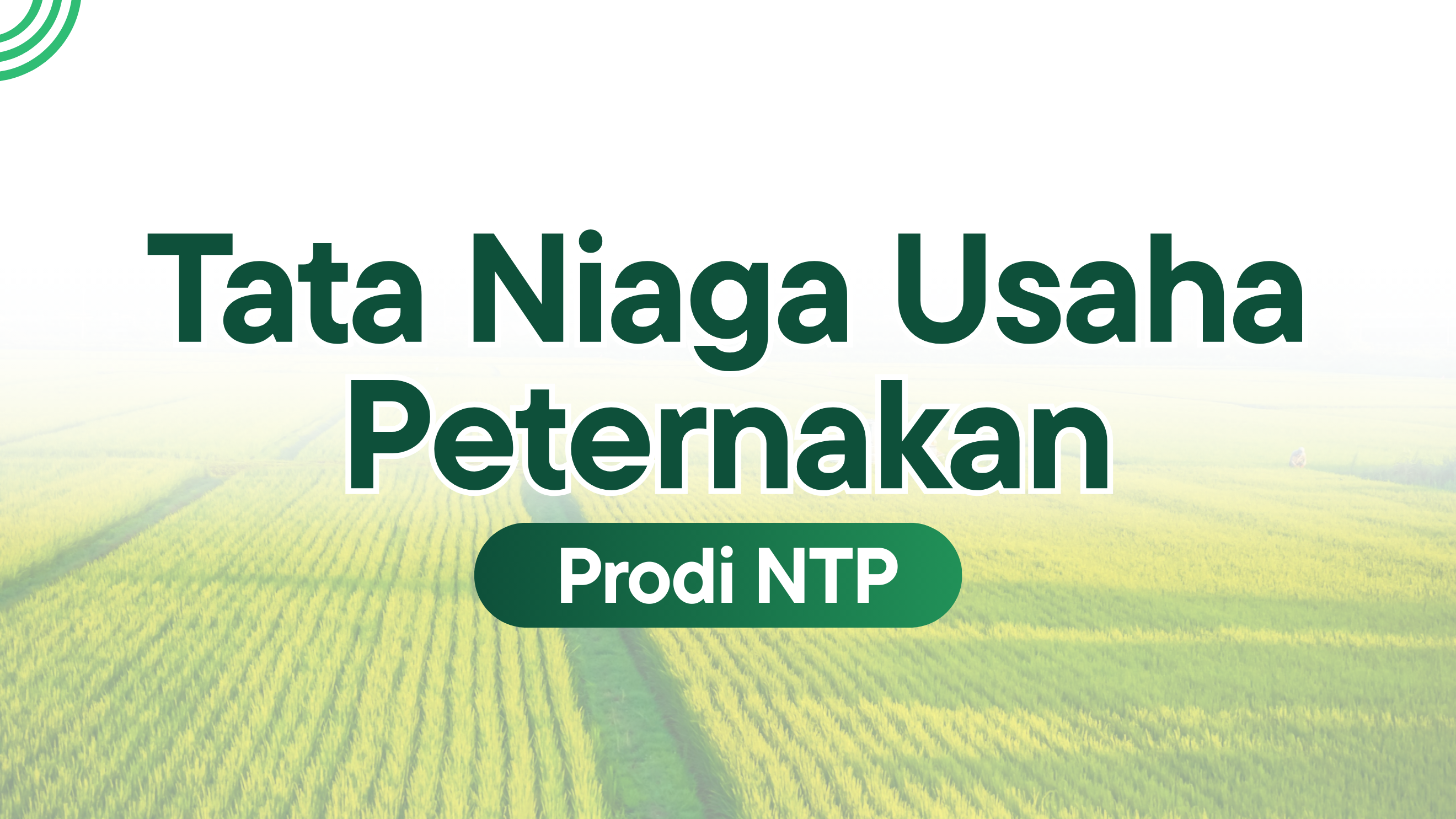 Tata Niaga Usaha Peternakan NTP 2026