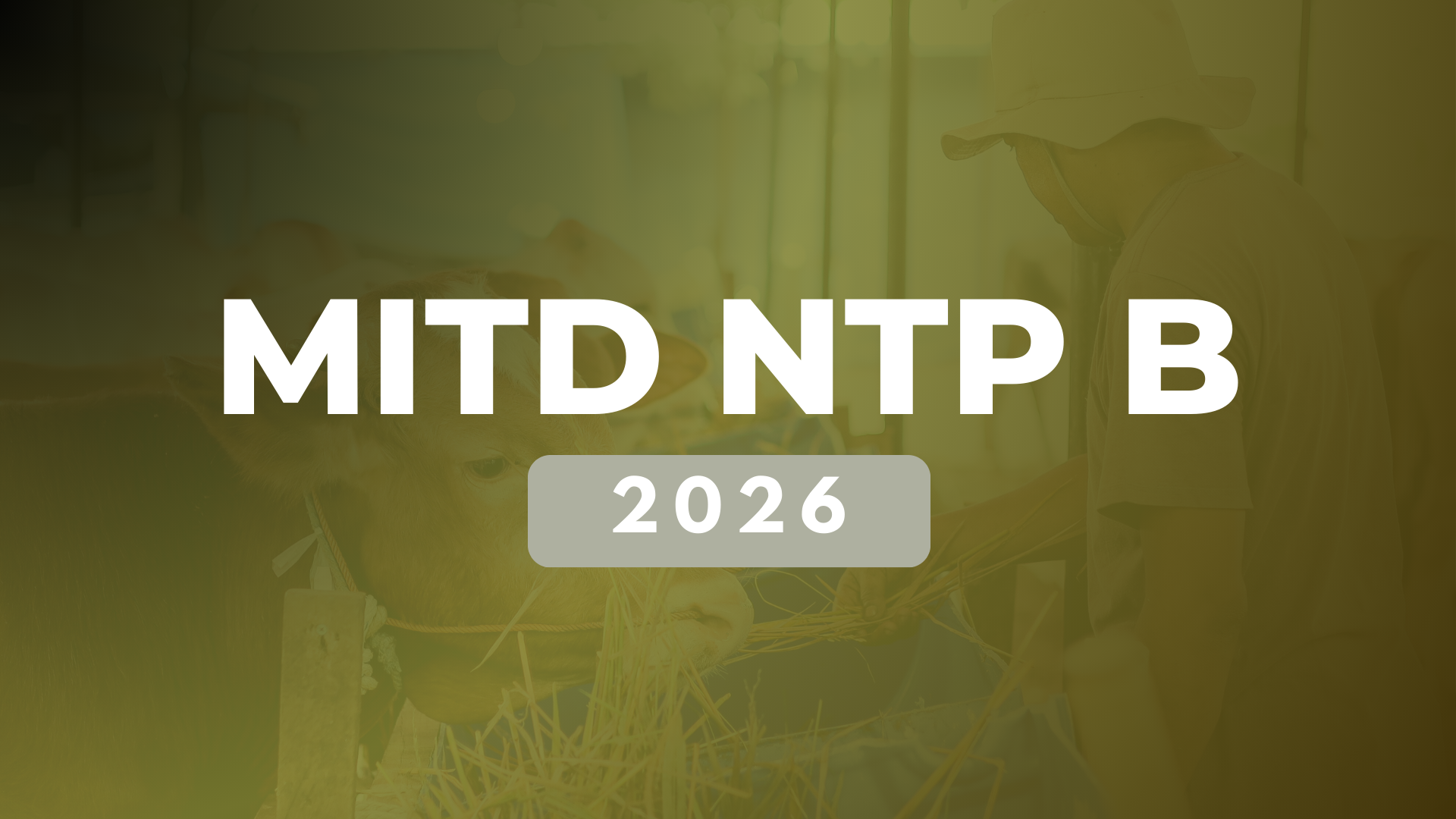MITD NTP B 2026