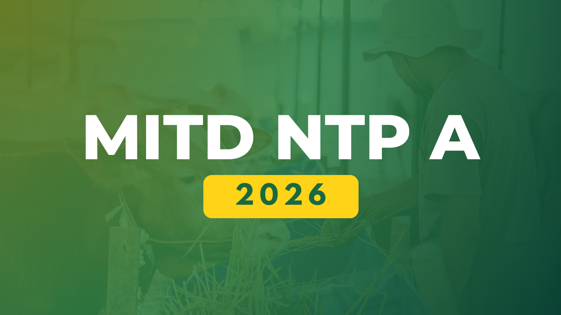 MITD NTP A 2026