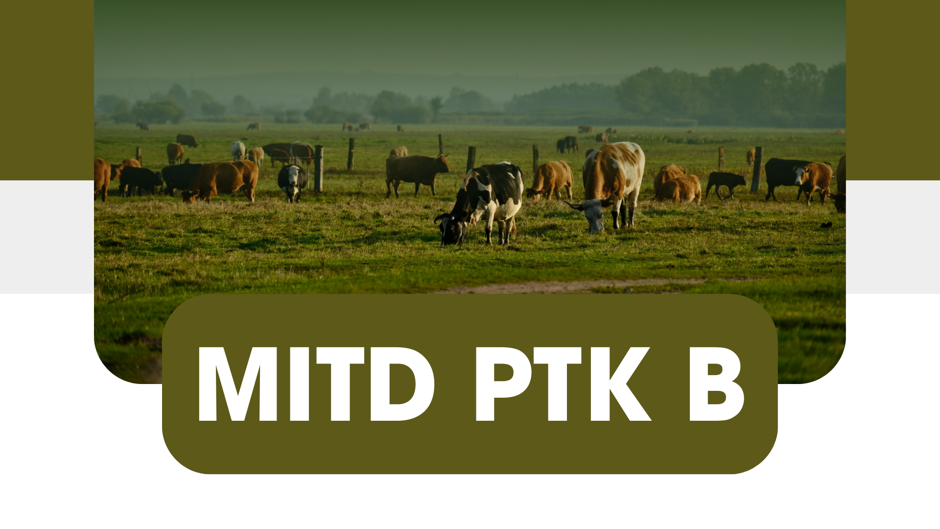 MITD PTK B 2026